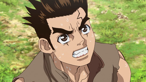 Dr. Stone